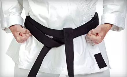 One or Three Months of Martial Arts Classes for Adults or Children at Tong Dragon Mixed Martial Arts (Up to 81% Off) - Primary Image
