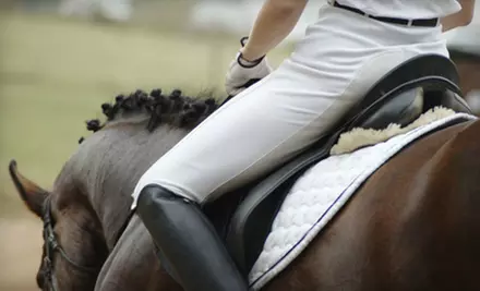 Horseback Trail Ride for Two or Four at Majestic Stables (Up to 55% Off) - Primary Image
