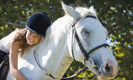 $45 for a Two-Hour Guided Trail Ride and Barbecue Picnic at Saddle Creek Stables ($90 Value) - Primary Image