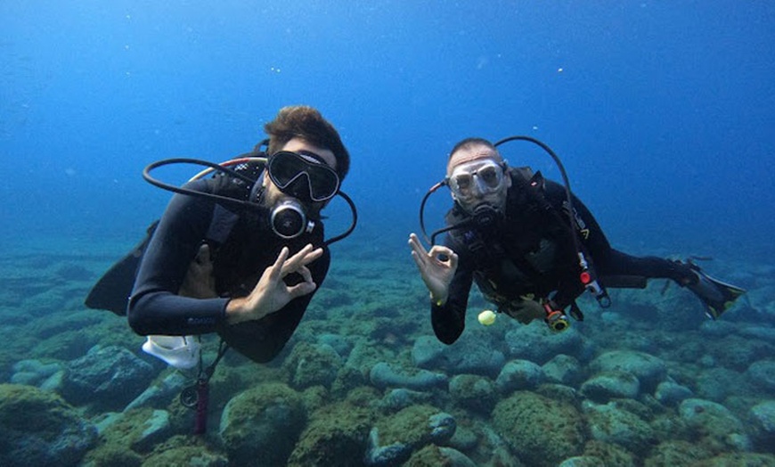 Image 1: Hasta 24% de dto. en Submarinismo en Scuba Point Diving Tenerife