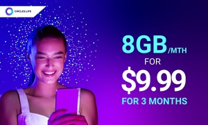 3-Month SIM Plan: 8GB per Month