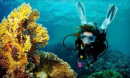 Discover Scuba Introductory Pool Class or Open-Water-Certification Course from Scuba Network (Up to 63% Off) - Primary Image