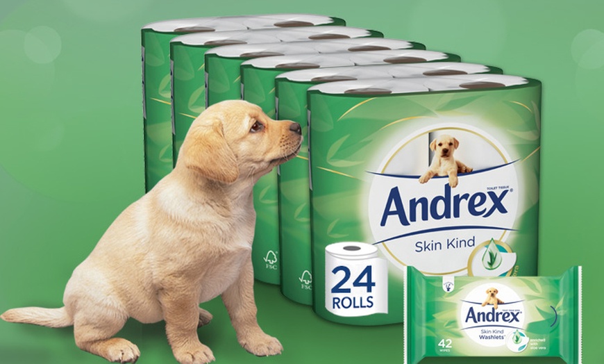 Image 4: Andrex Toilet Paper