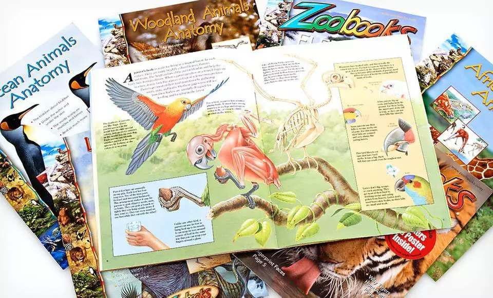 $18.99 for a Zoobooks Animal-Anatomy Set with Stickers, Poster, and Two Bonus Books ($58.99 List Price). Free Shipping. - Second Medium