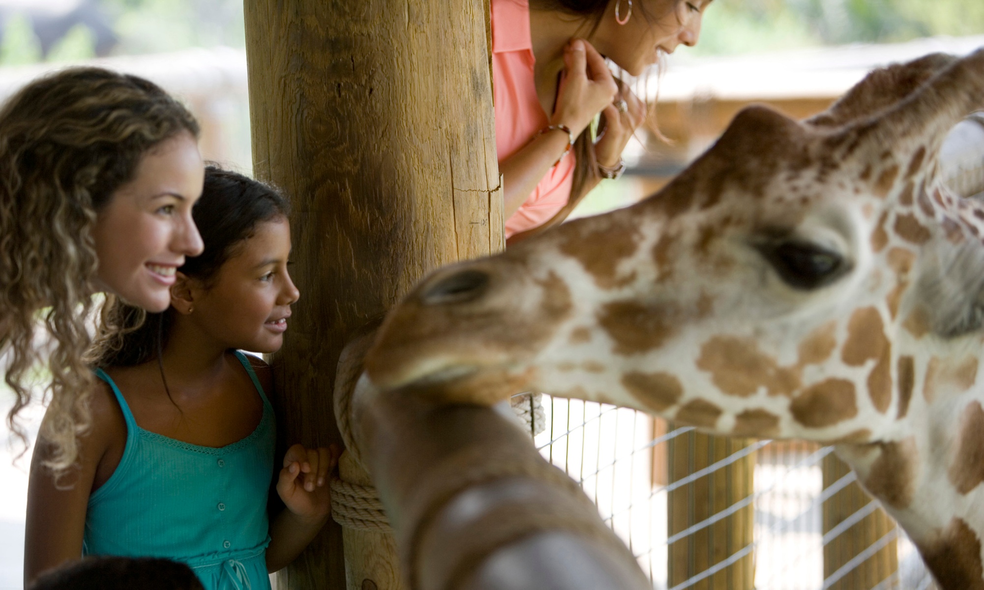 Experience Fun: Admission + Petting Zoo / Become a Zoo Keeper  