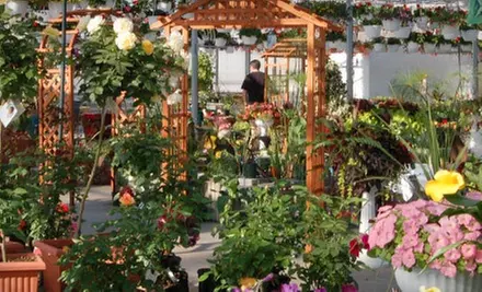 $10 for $20 Worth of Flowers, Shrubs, and Trees at Floral Acres Greenhouses & Garden Centre - Primary Image