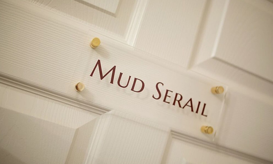 Image 5: Serail Mud Chamber For Two