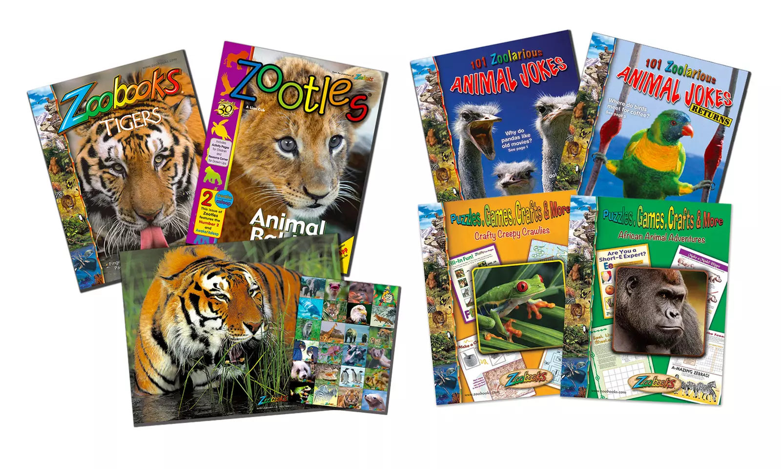 Zoobooks Animal Jokes & Activities 6-Book Bundle  - Primary Image