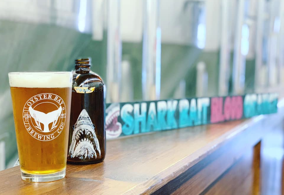 Craft Beer Tasting for One, Two or Four People Experience