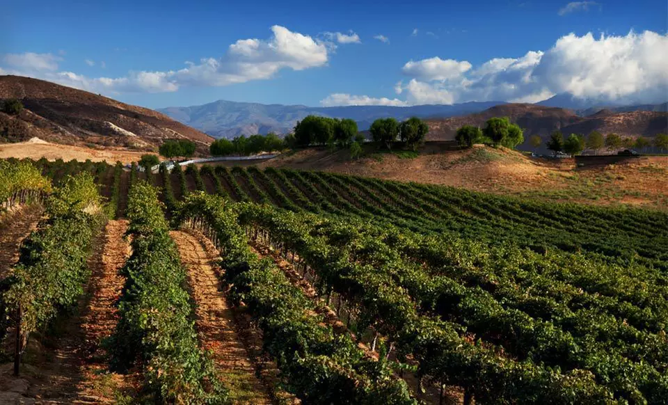 One- or Two-Night Stay for Two at Tuscany Hills Resort in Southern California - Primary Image