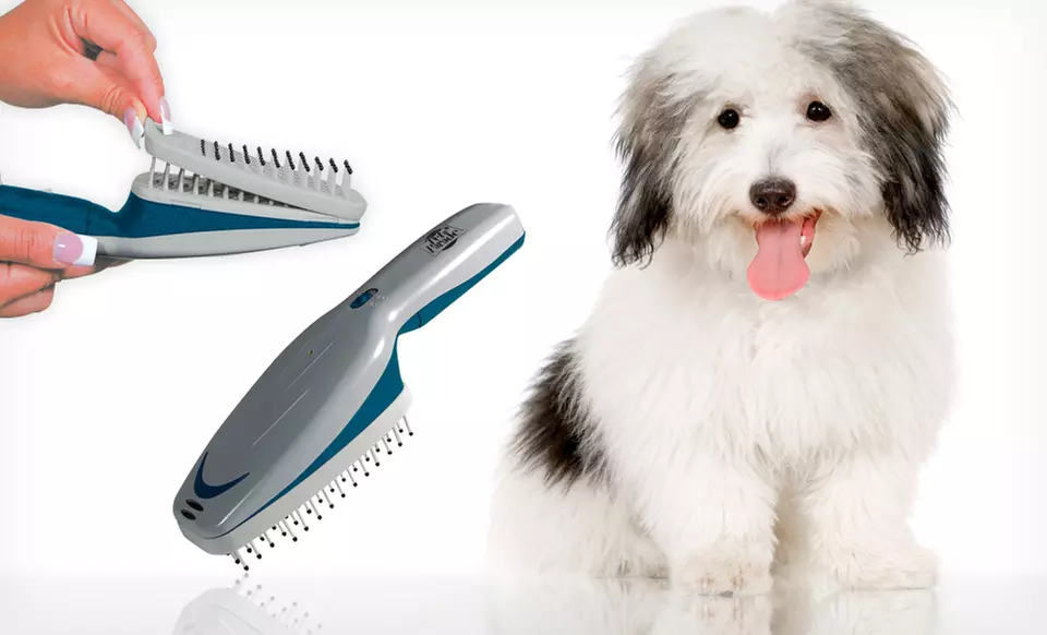 Pet Parade Ionic Pet Brush. Free Returns. - Primary Image