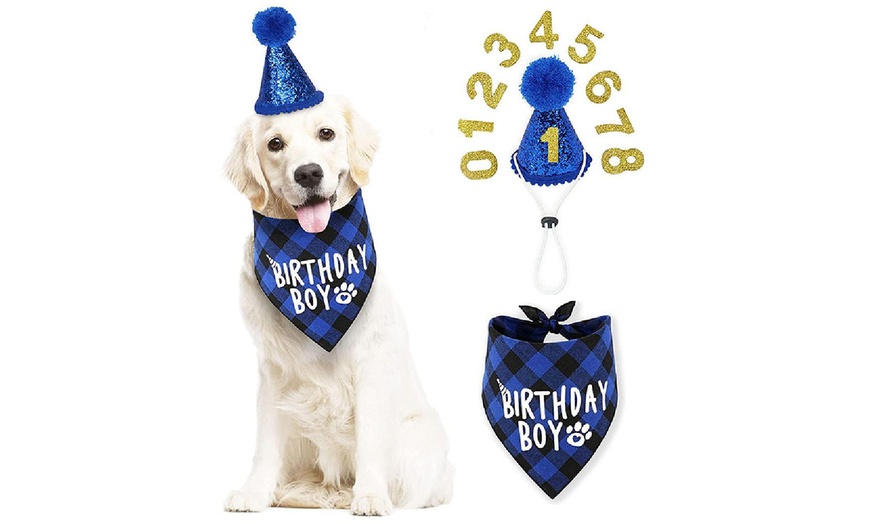 Image 7: Dog Birthday Bandana Scarf and Hat with Numbers