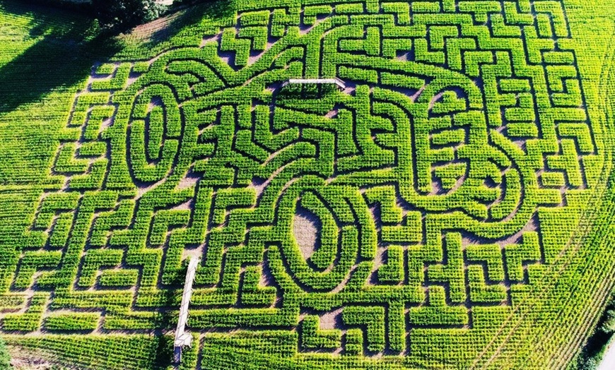 Image 3: Maize Maze Entry for Two