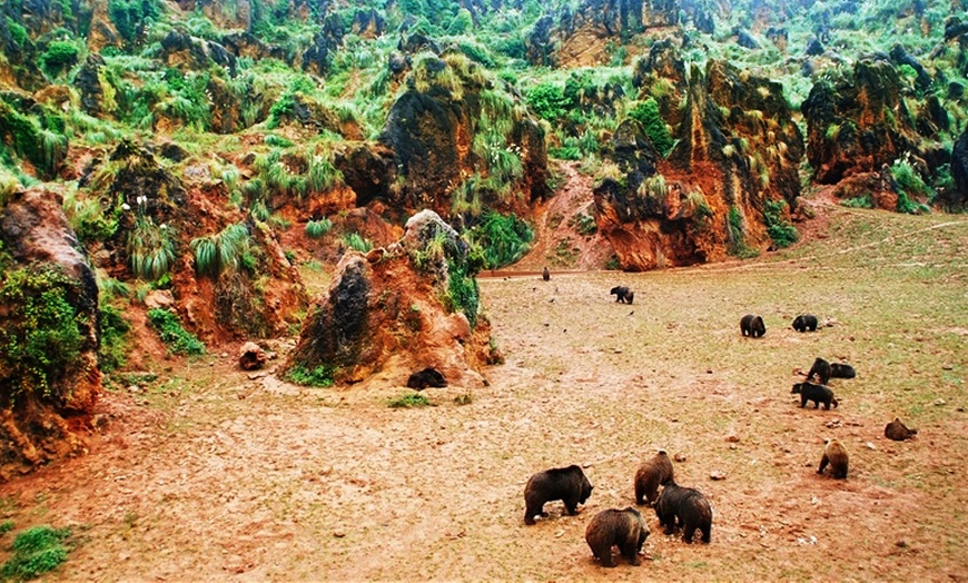 Image 4: Parque de la Naturaleza de Cabárceno: entrada para hasta 4 personas