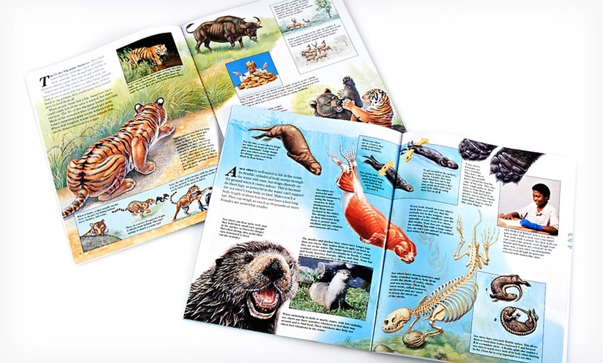 Zoobooks Animal-Anatomy Set | Groupon Goods