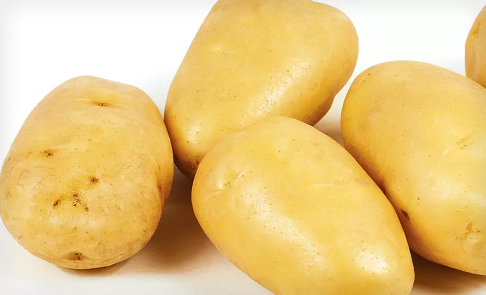 $17.99 for a Self-Contained Yukon Gold Potato-Growing Kit ($39.95 List Price). Free Shipping. - Primary Image