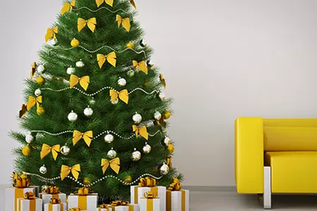 Lodgepole Pine Christmas Trees from £22 (Up to 53% Off) - Primary Image