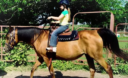 Two, Three, or Four Kids' Horseback Rides or Two Adult Horseback Rides at Labzara Ranch (Half Off) - Primary Image