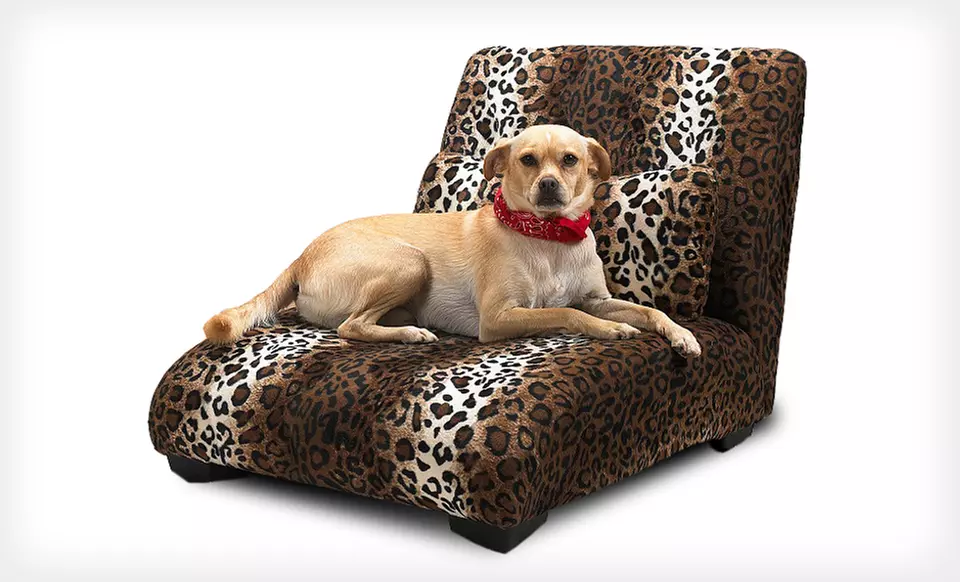 $84.99 for an Enchanted Home Pet Elliot Lounger ($169.99 List Price). Two Options Available. Free Shipping and Returns. - Second Medium