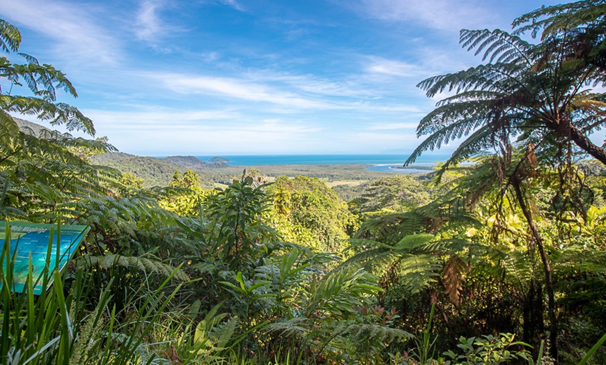 Image 8: Daintree and Cape Tribulation: 1-Day 4WD Experience for Up to 4