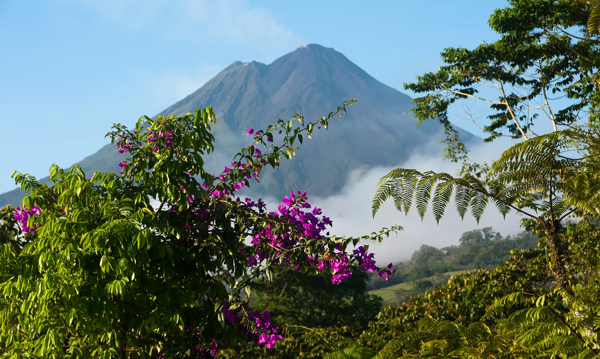 ✈ 8-Day Costa Rica Vacation w/Air from Travel by Jen. Price per Person Based on Double Occupancy (Buy 1 Groupon/Person). - Primary Image