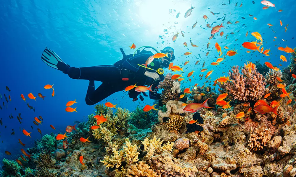$189 for Open Water Scuba Certification Course at Boynton Beach Dive Center ($449 Value) - Primary Image