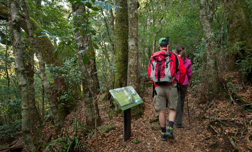 Image 3: Gold Coast Lamington National Park: 2N Rainforest Escape