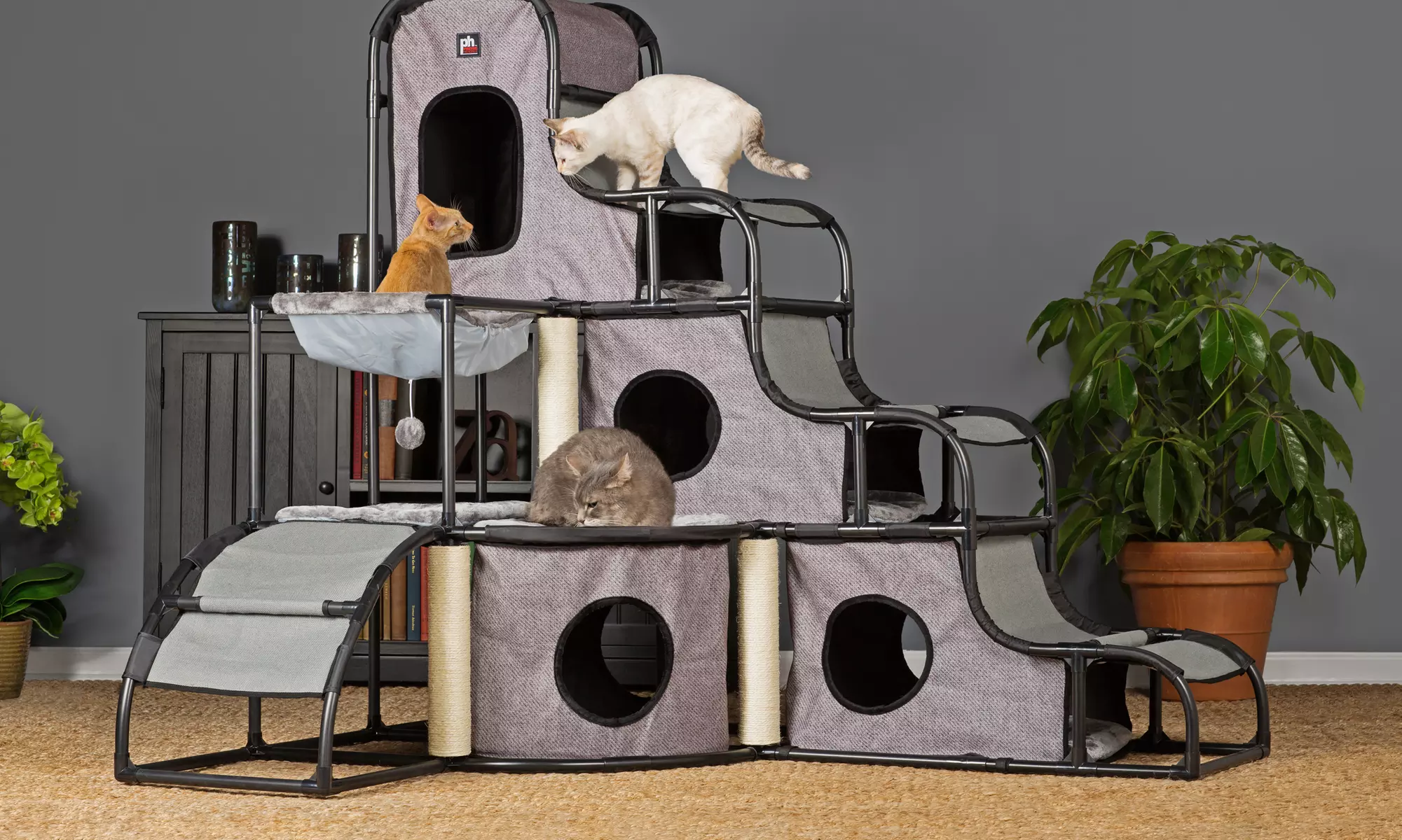 Prevue Pet Products Catville Play and Sleep Area - Primary Image