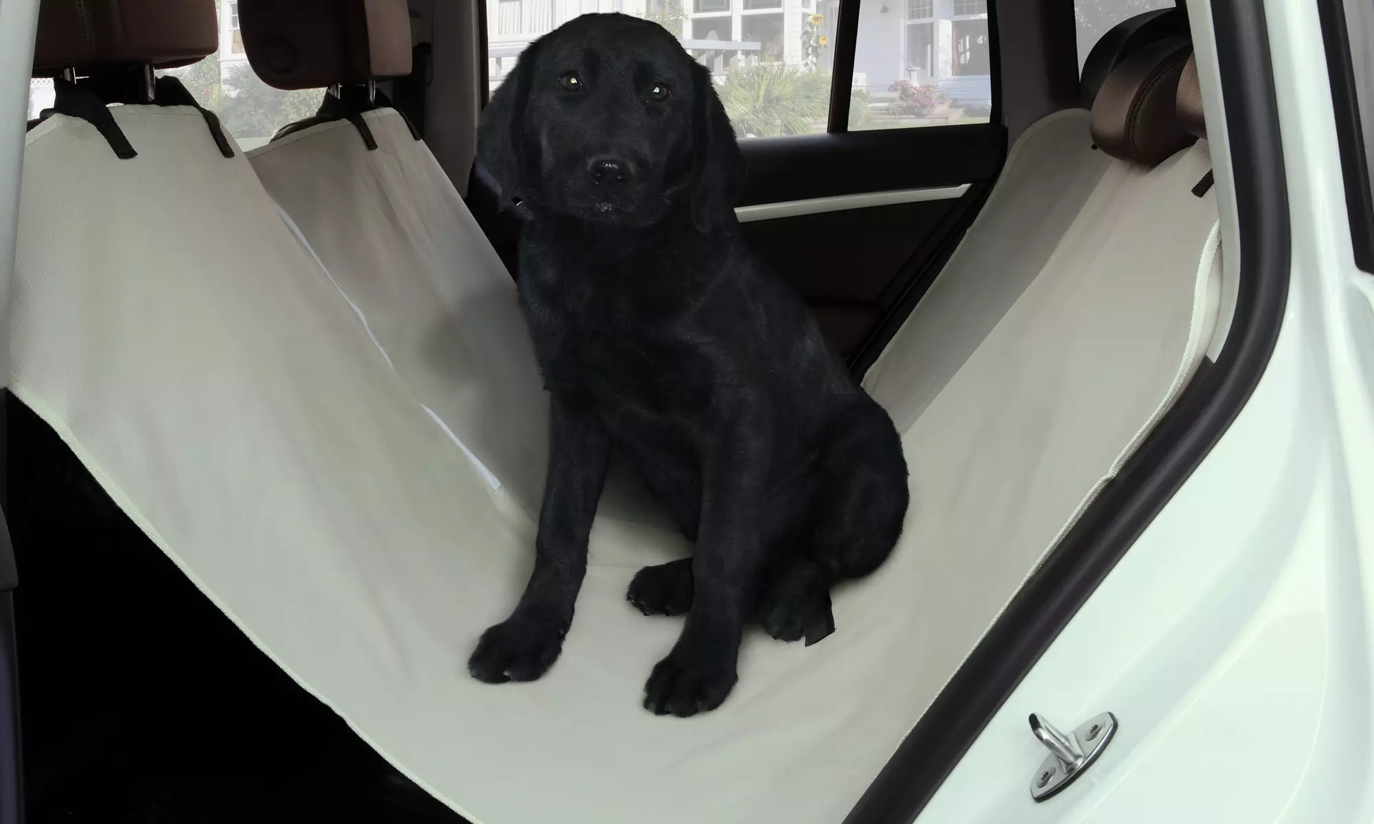 Pet Car Hammock - Primary Image