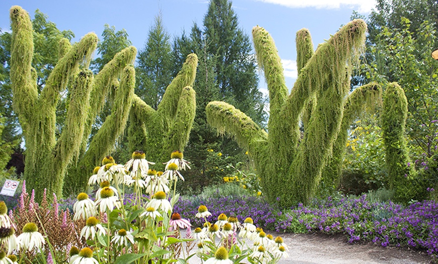 Image 2: Family Garden Visit