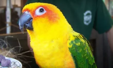 Admission and Wildlife Tour for Two or Four and 10% Off Merchandise at Animal Adventures (Up to 60% Off) - Primary Image