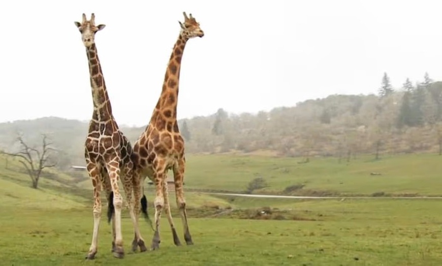 Image 7: GetOutPass Oregon with Admission to 30+ Iconic Attractions