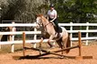 Up to 47% Off on Horseback Riding Lessons for Four Weeks at Harmony Riding - Second Medium