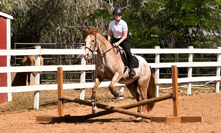 Image 2: Enjoy Horseback Riding Lessons for Four Weeks in June and July 2025!