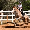 Image 2: Enjoy Horseback Riding Lessons for Four Weeks in June and July 2025!