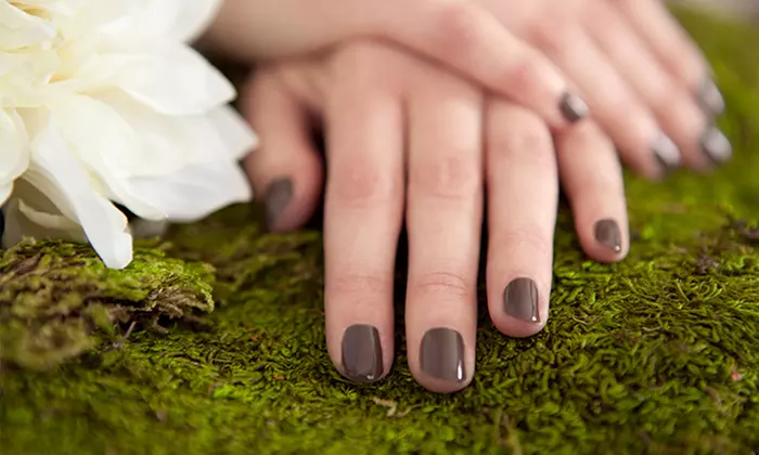 Spa Pedicure, Shellac Spa Manicure, or Both at Salon 554 (Up to 49% Off) - Primary Image