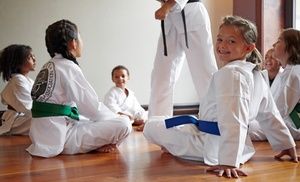 Four weeks of unlimited martial arts classes for kids