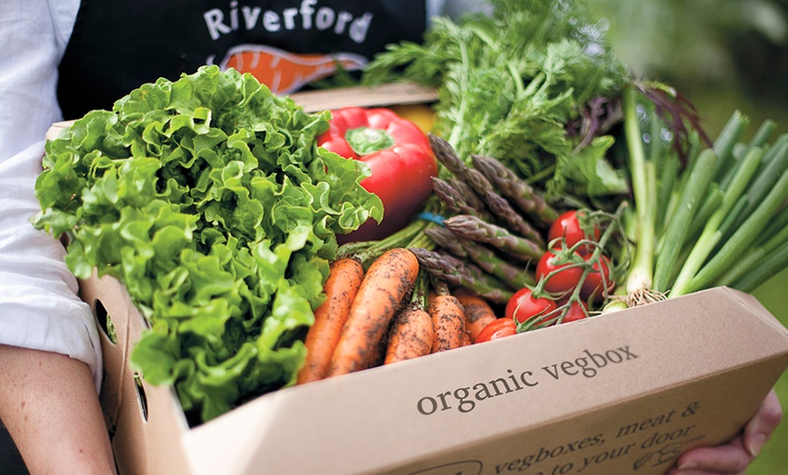 Image 1: Vegetable Boxes