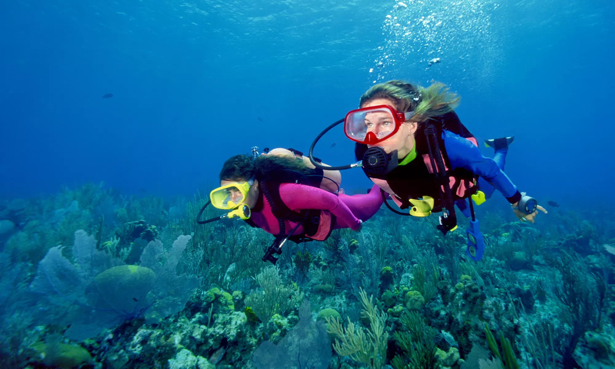 Scuba Certification Course or Refresher Course for Certified Divers at Scuba Quest (Up to 60% Off) - Primary Image