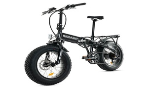  Monster Electric Bike 20'' HB Alu Frame 