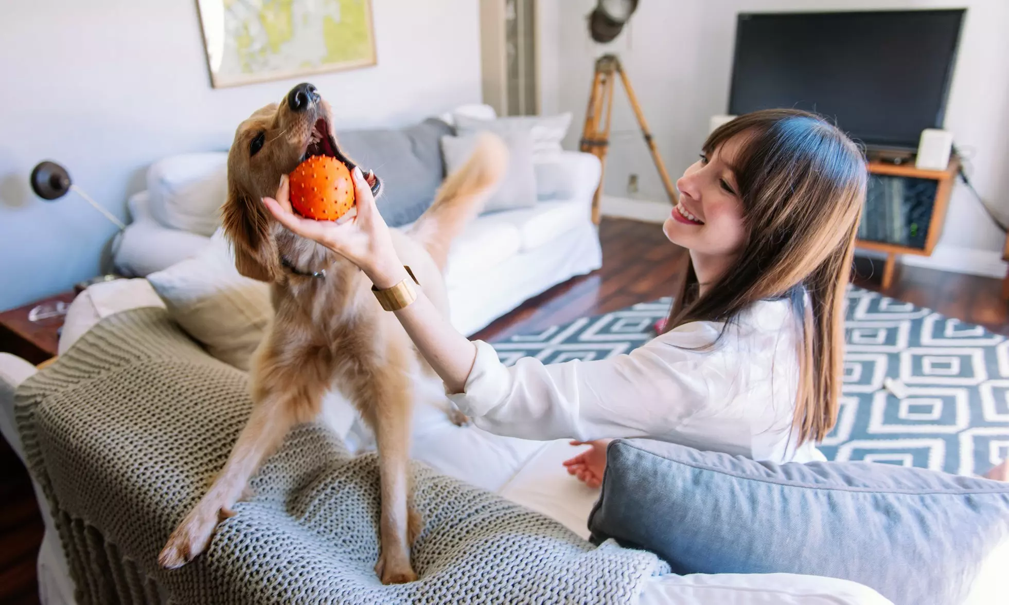 Home Dog Boarding and Pet Services from DogVacay (Up to 57% Off). Three Options Available. - Primary Image