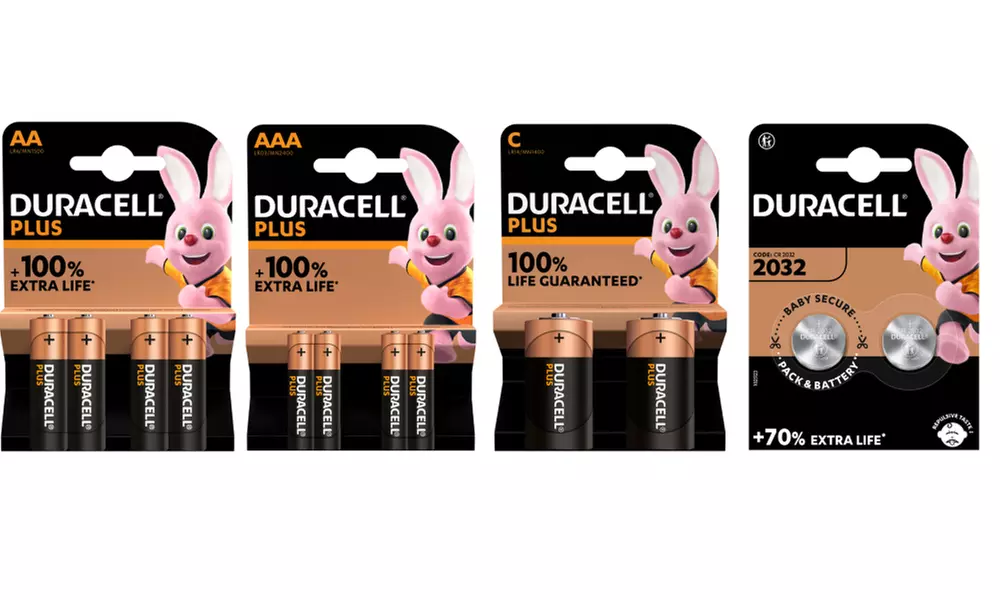 2 à 24 piles Duracell, modèle au choix - Primary Image
