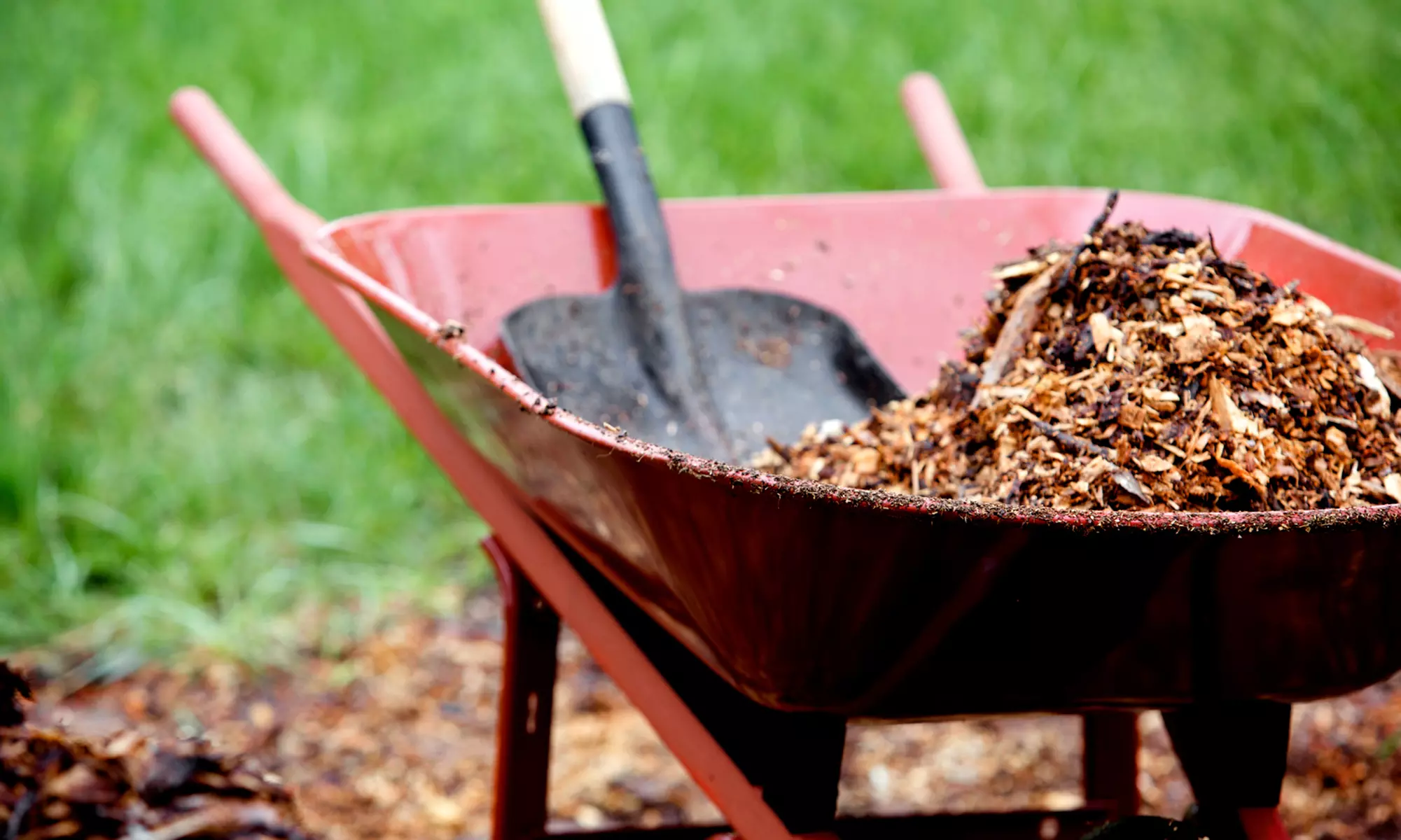 Two, Four, or Six Hours of Fall Perennial Garden Cleanup from Laskas Gardens (Up to 57% Off) - Primary Image