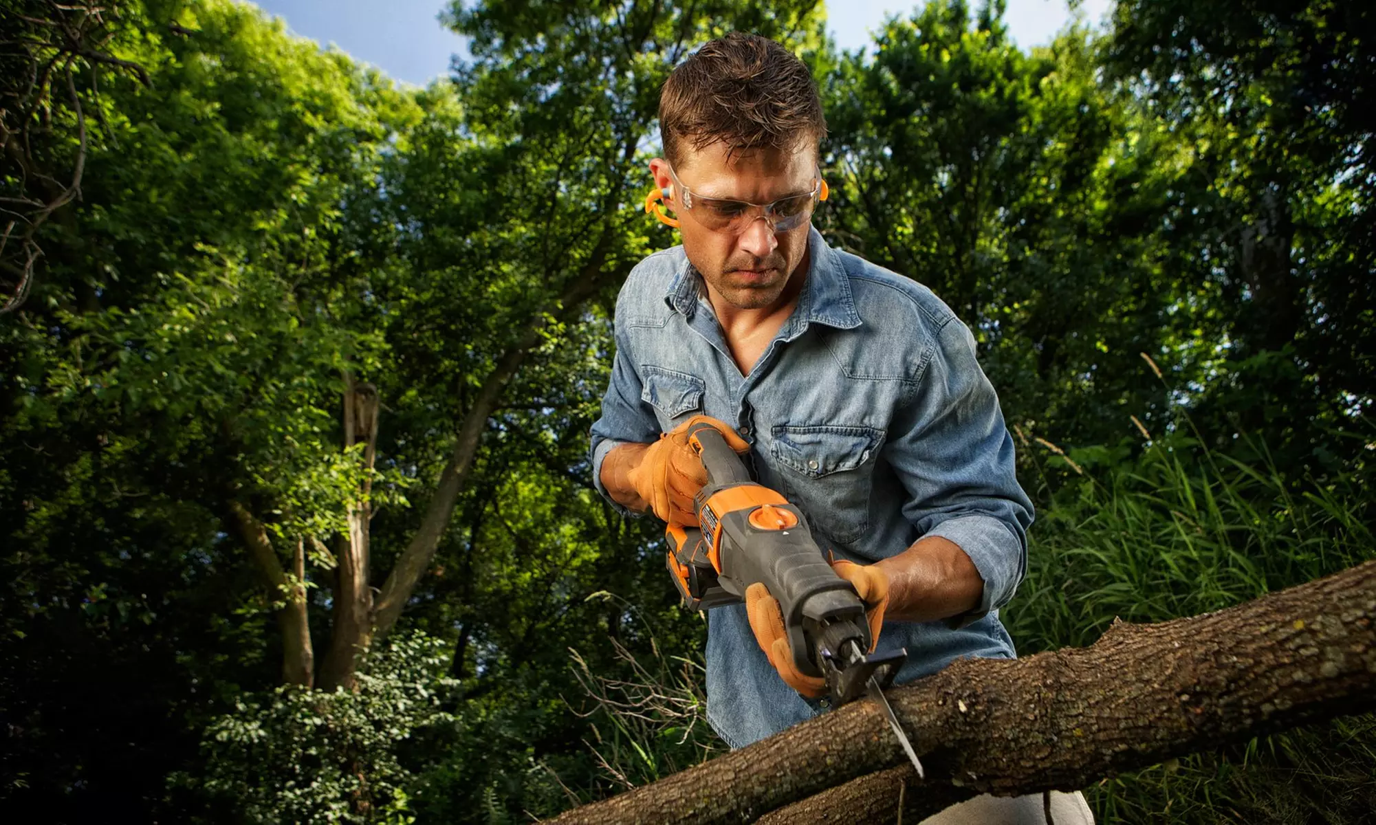 $83 for $150 Worth of Tree-Trimming Services — T*Luv Tree Service - Primary Image