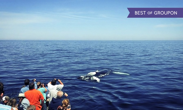 What to expect media