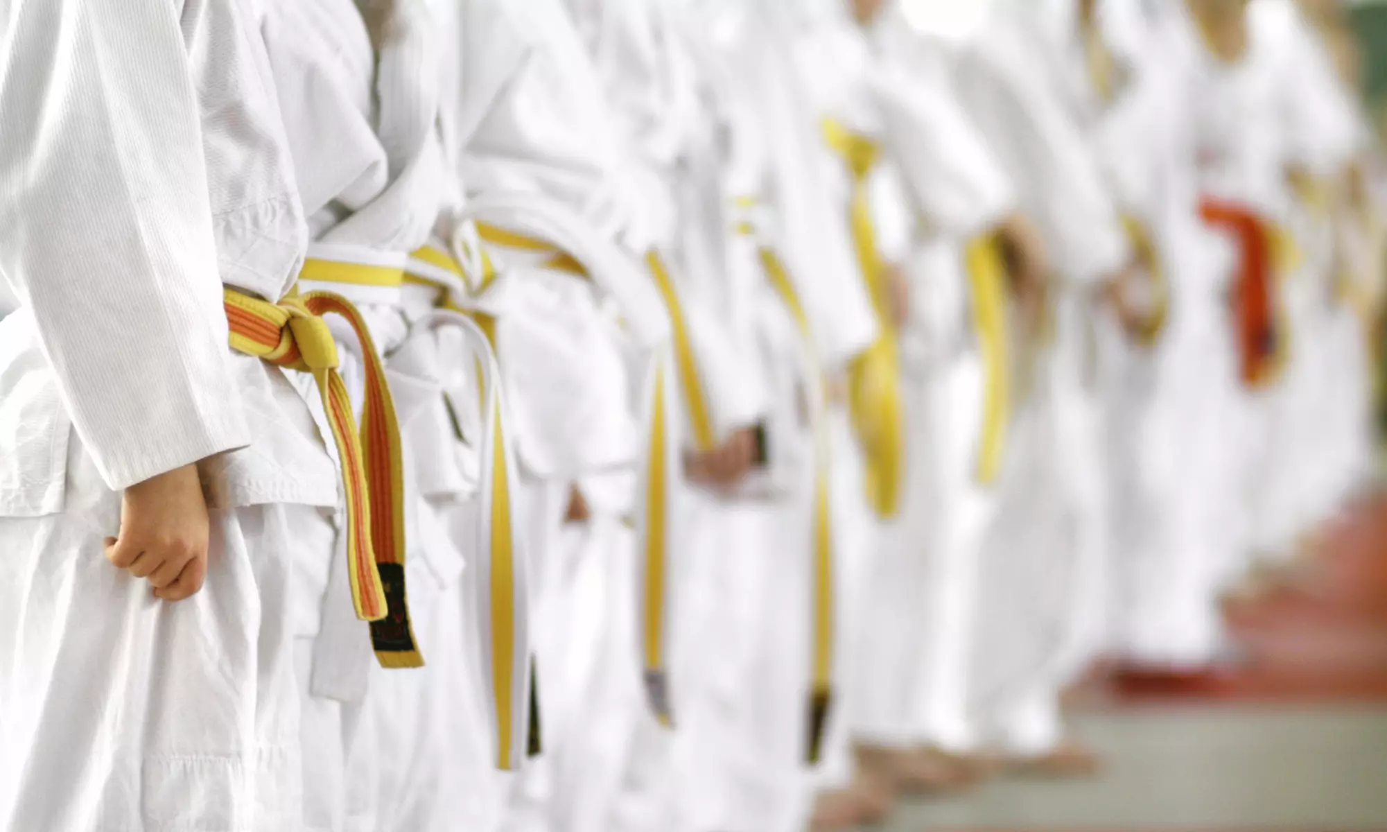 Unlimited Martial Arts Classes for One or Three Months at Aikido - Haru Dojo (Up to 65% Off) - Primary Image