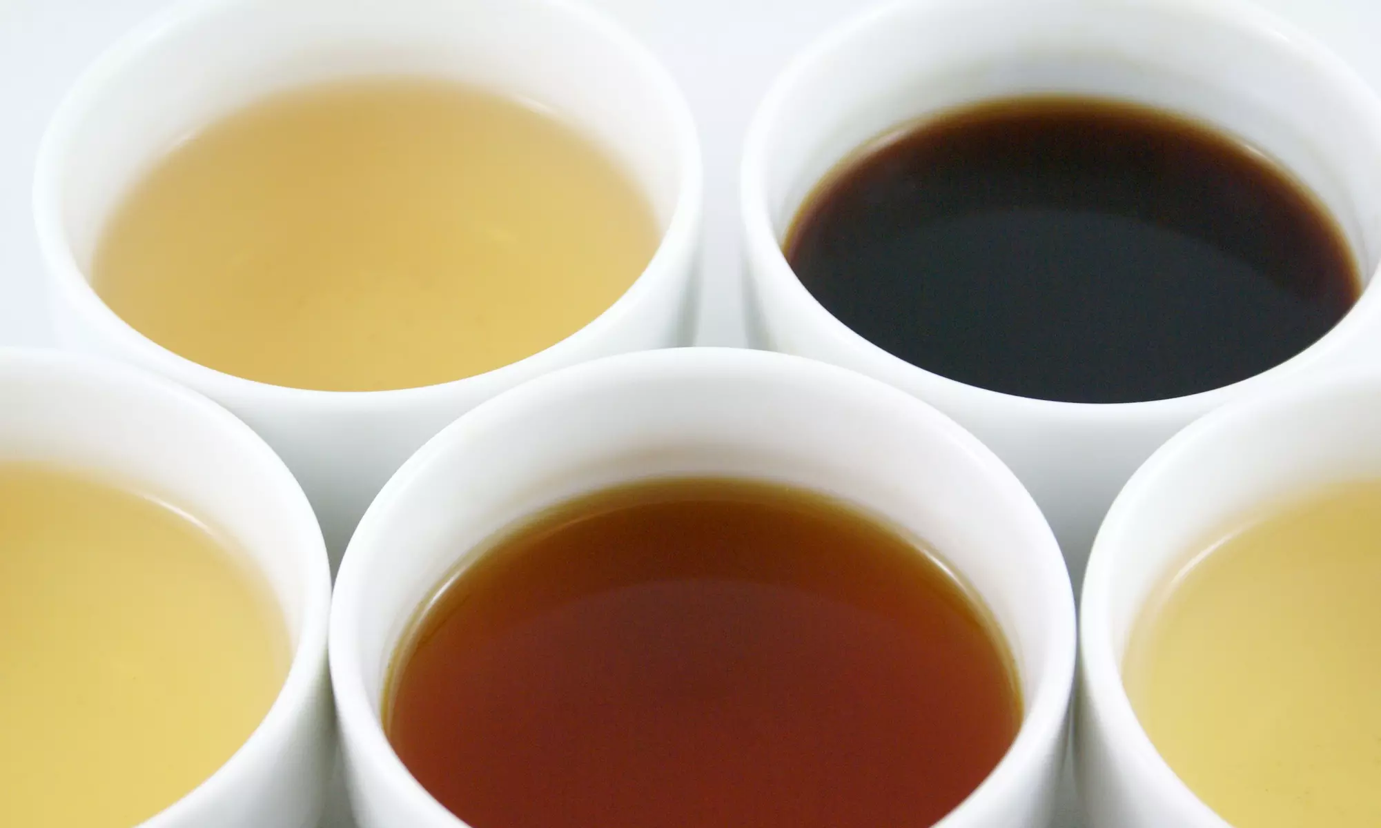 C$12 for Entry for Two at Nov. 21 Event at Vancouver Tea Festival (C$19.90 Value) - Primary Image