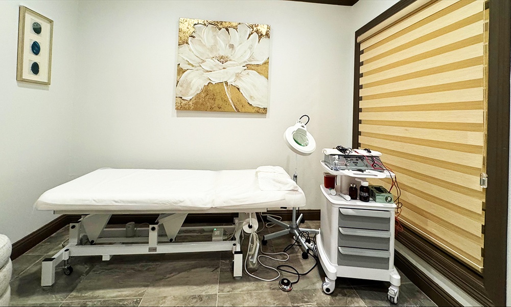 One, Two or Three 30- or 60-Minute Electrolysis Hair Removal Session