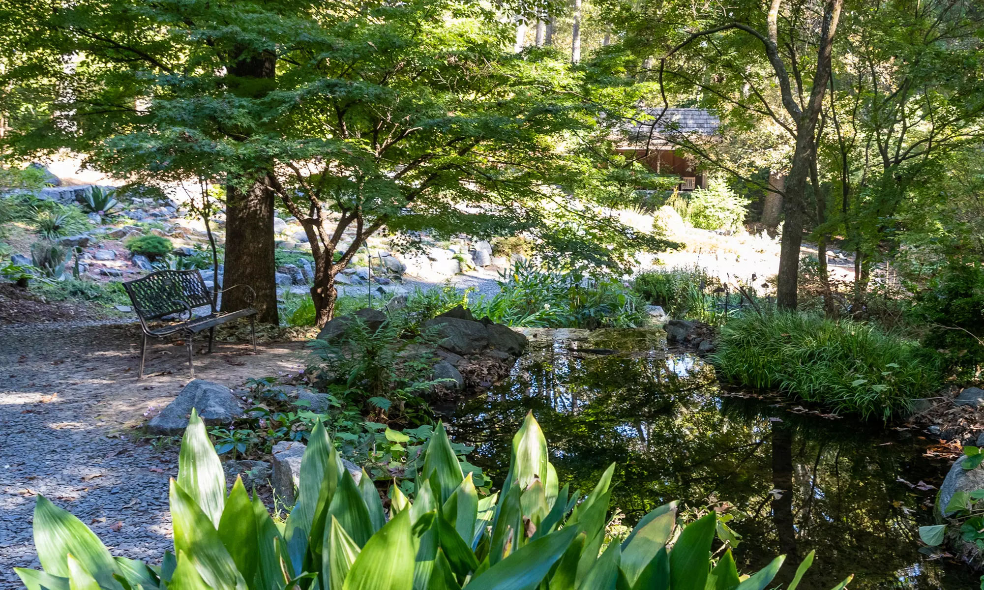 General Admission for Two, Three, or Four Adults to Smith-Gilbert Gardens (Up to 30% Off) - Primary Image