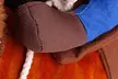Cowboy Rider Dog Costume for Dogs Clothes Knight Style with Doll - Second Medium